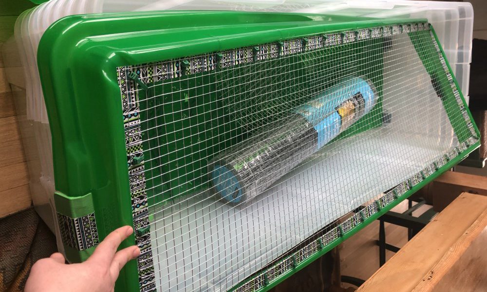 Storage bin cheap hamster cage