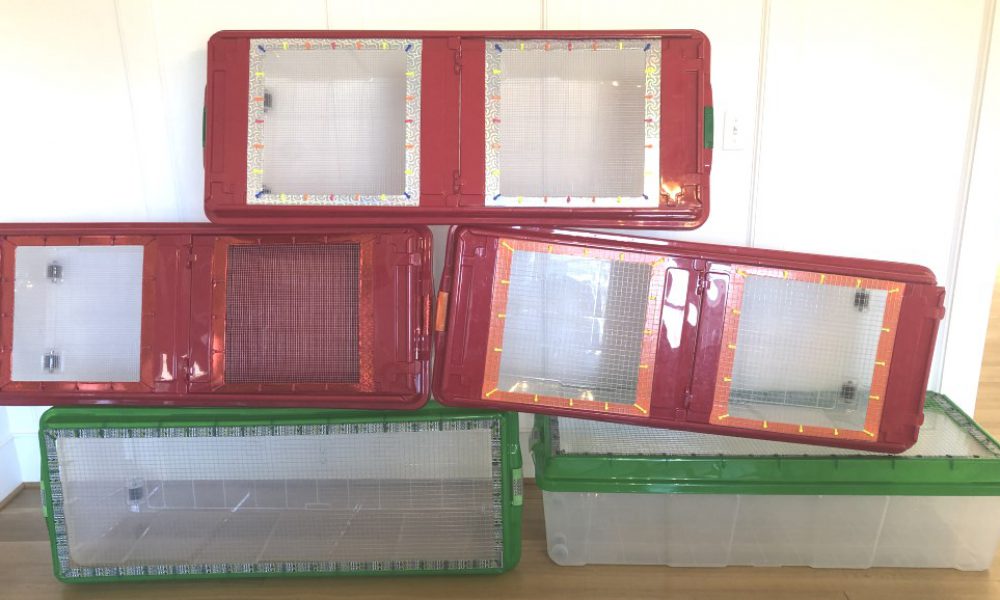 hamster cage out of plastic bin
